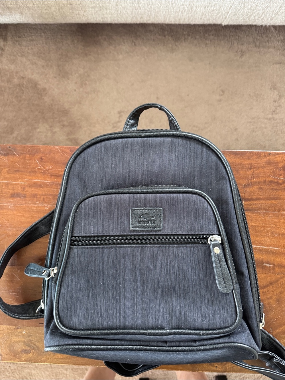 Black Compact Canvas Backpack - ROOTS